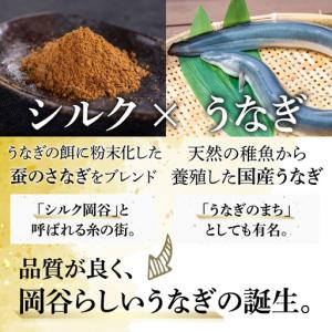 ふるさと納税 【やなのうなぎ 観光荘】シルクう...の詳細画像1