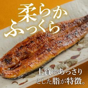 ふるさと納税 【やなのうなぎ 観光荘】シルクう...の詳細画像2