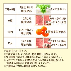 ふるさと納税 待望のプレミアムコラボ【8回】定...の詳細画像4