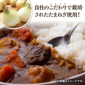 ふるさと納税 【12回定期便】薬膳スパイスチキ...の詳細画像1