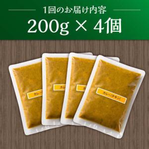 ふるさと納税 【12回定期便】薬膳スパイスチキ...の詳細画像4