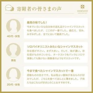 ふるさと納税 【2026年発送】【訳あり】山梨...の詳細画像2
