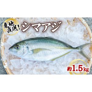 ふるさと納税 シマアジ 約1.5kg 1尾 しまあじ 縞鯵 高...