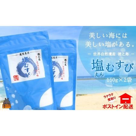 ふるさと納税 〜珊瑚礁が育んだ恵み〜徳之島の自然そのままの塩（2袋）( 塩 ソルト 荒塩 調味料 料...