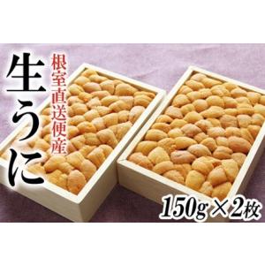 ふるさと納税 エゾバフンウニ150g×2折[2024年2月下旬以降]