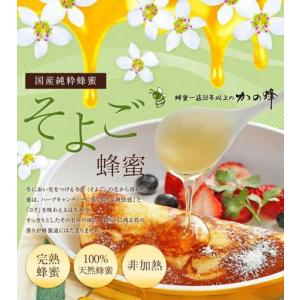 ふるさと納税 【全12回】 定期便 かの蜂 国...の詳細画像1