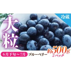 ふるさと納税 【先行予約】【6回定期便】 フル...の詳細画像4