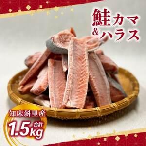 ふるさと納税 【先行受付】＜数量限定＞ 知床斜里産 天然秋鮭カマ＆ハラス 1.5kg 船上活締め【配...