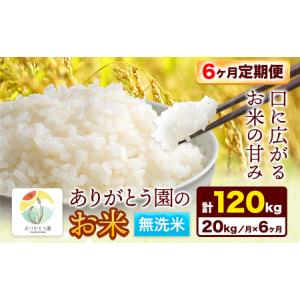 ふるさと納税 【6ヶ月定期便】ありがとう園の無洗米 20kg 岡山県矢掛町