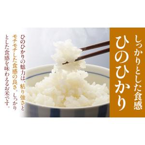 ふるさと納税 【12ヶ月定期便】ありがとう園の...の詳細画像3