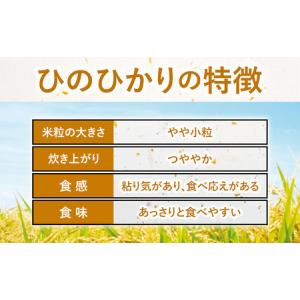 ふるさと納税 【12ヶ月定期便】ありがとう園の...の詳細画像4