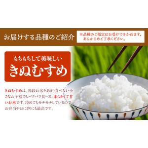 ふるさと納税 【12ヶ月定期便】ありがとう園の...の詳細画像1