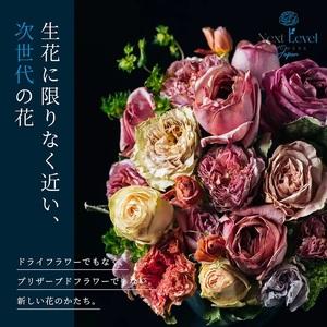 ふるさと納税 SL0217 フリーズドライフラ...の詳細画像1