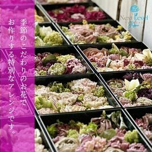 ふるさと納税 SL0217 フリーズドライフラ...の詳細画像2