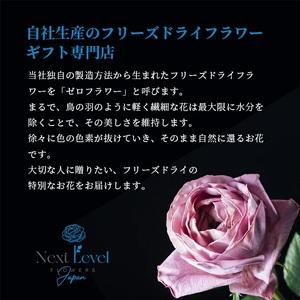 ふるさと納税 SL0217 フリーズドライフラ...の詳細画像3