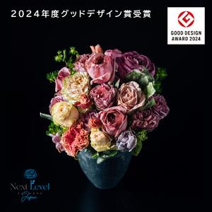 ふるさと納税 SL0217 フリーズドライフラ...の詳細画像4
