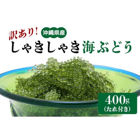 ふるさと納税 【訳あり】しゃきしゃき海ぶどう400g 沖縄県糸満市