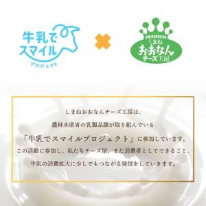 ふるさと納税 まるごと ゴーダチーズホール (...の詳細画像4