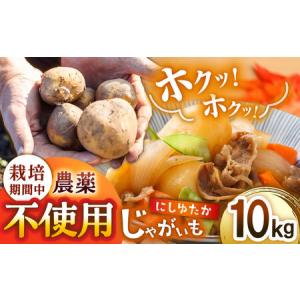 ふるさと納税  栽培期間中農薬不使用！野田さん家のじゃがいも（ニシユタカ)10kg/ じゃがいも ジャガイモ 新じゃがいも 新じゃが 春じゃがいも.. 長崎県東彼杵町｜furunavi