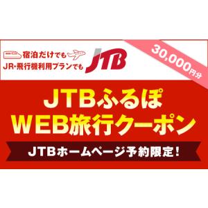 ふるさと納税 【銀山温泉 尾花沢市】JTBふるぽWEB旅行クーポン（30,000円分）【旅行 山形県尾花沢市 旅行クーポン 旅行券 トラベル 旅行チケッ.. 山形県尾花沢市｜furunavi