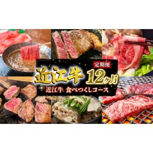 ふるさと納税 定期便 12回  特選近江牛食べつくしコース ( 定期便 1年 ステーキ肉 焼肉 焼き肉 定期便 ほほ肉 定期便 肉 モモ肉 定期便 バラ肉 .. 滋賀県竜王町