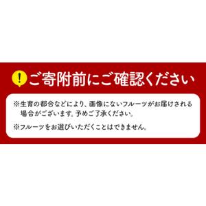 ふるさと納税 【 定期便 12回 】【フルーツ...の詳細画像3