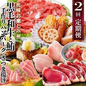 ふるさと納税 定期便(2回配送)枕崎お楽しみ便(黒毛和牛・まぐろ・手作りハンバーグ・さつまあげ等) DD-6002【1166747】 鹿児島県枕崎市｜furunavi