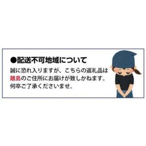 ふるさと納税 紀州和歌山産 ピオーネ 約2kg...の詳細画像4