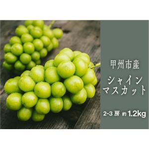 ふるさと納税 甲州シャインマスカット『果汁滴るフルーツの王様』約1.2kg 2〜3房【2026年発送...