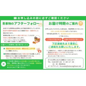 ふるさと納税 【秋の美味】フルーツ王国 和歌山...の詳細画像4