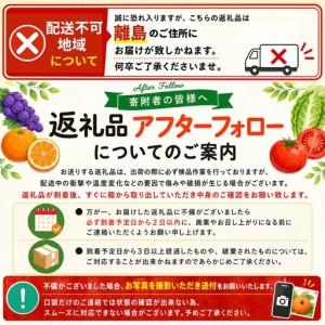 ふるさと納税 紀州和歌山産 ピオーネ 約2kg...の詳細画像4