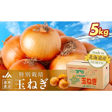 ふるさと納税 【先行受付】R8年産 特別栽培玉ねぎ 5kg | 玉ねぎ たまねぎ タマネギ 玉葱 大...