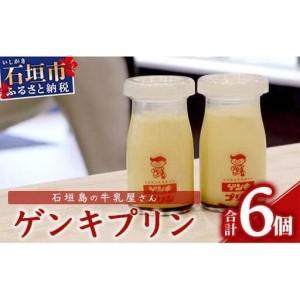 Camelicious キャメルミルクパウダー20g×24袋 ラクダのミルク ラクダの