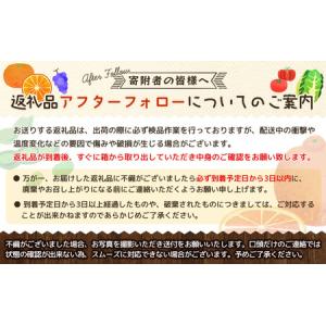 ふるさと納税 紀州和歌山産 ピオーネ 約2kg...の詳細画像3