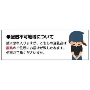 ふるさと納税 紀州和歌山産 ピオーネ 約2kg...の詳細画像4
