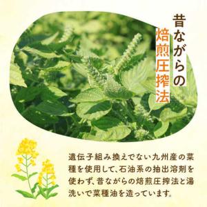 ふるさと納税 菜の花油 【全12回定期便】 一...の詳細画像4