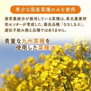 ふるさと納税 【全12回定期便】菜の花 サラダ...の詳細画像2
