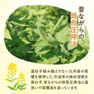 ふるさと納税 【全12回定期便】菜の花 サラダ...の詳細画像3