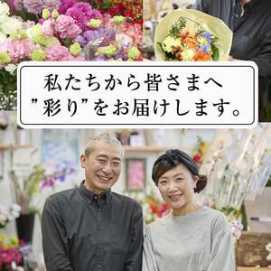 ふるさと納税 【FM-15】<定期便・6回(連...の詳細画像4