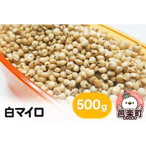 ふるさと納税 白マイロ 500g×1袋 サイトウ・コーポレーション 飼料 群馬県邑楽町｜furunavi