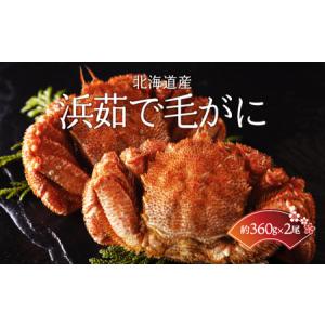 ふるさと納税 ＜北海道産＞浜茹で毛がに【360g×2尾】（網走加工） 【 ふるさと納税 人気 おすすめ ランキング 毛蟹 毛ガニ 毛がに 浜茹で .. 北海道網走市