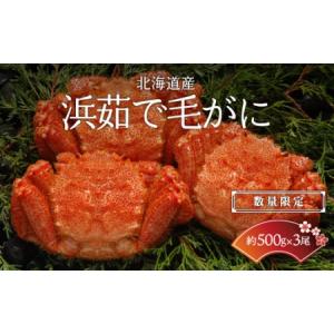 ふるさと納税 【数量限定】＜北海道産＞浜茹で毛がに【約500g×3尾】（網走加工） 【 毛蟹 毛ガニ 毛がに かに味噌 カニみそ 】 ABC017 北海道網走市