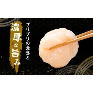 ふるさと納税 訳あり 冷凍ほたて貝柱フレーク ...の詳細画像1