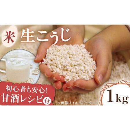 ふるさと納税 熊本県産  米 生こうじ 1kg【有限会社 木屋食品工業】こうじ 麹 米麹 甘酒作り ...