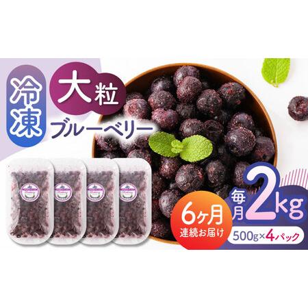 ふるさと納税 【6回定期便】大粒 冷凍ブルーベリー 2000g（500g×4pc） 【すみれファーム...