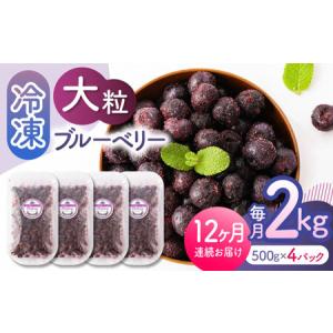 ふるさと納税 【12回定期便】大粒 冷凍ブルーベリー 約2000g（約500g×4pc）【すみれファーム】果物 フルーツ くだもの 大粒 小分け 熊本県.. 熊本県山鹿市