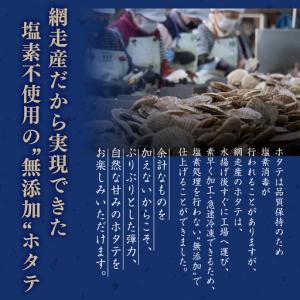ふるさと納税 網走前浜産 無添加ホタテ貝柱【 ...の詳細画像2