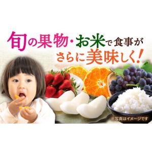 ふるさと納税 【5回定期便】厳選フルーツ&旬の...の詳細画像3