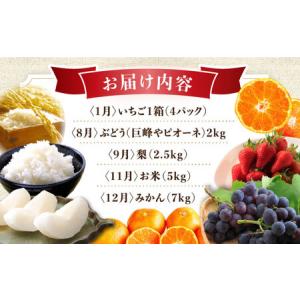ふるさと納税 【5回定期便】厳選フルーツ&旬の...の詳細画像4