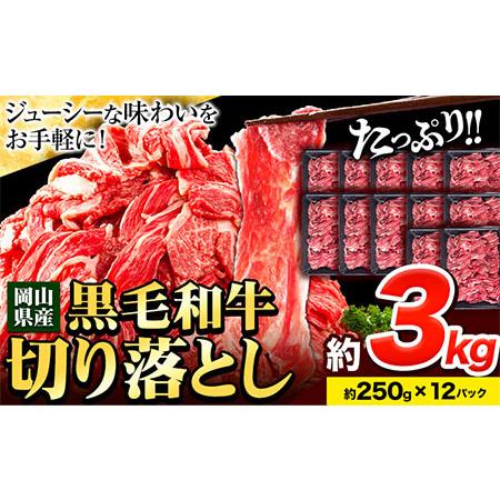 ふるさと納税 【訳あり】黒毛和牛 切り落とし 小分け 約3kg 約250g×12《60日以内に出荷予...